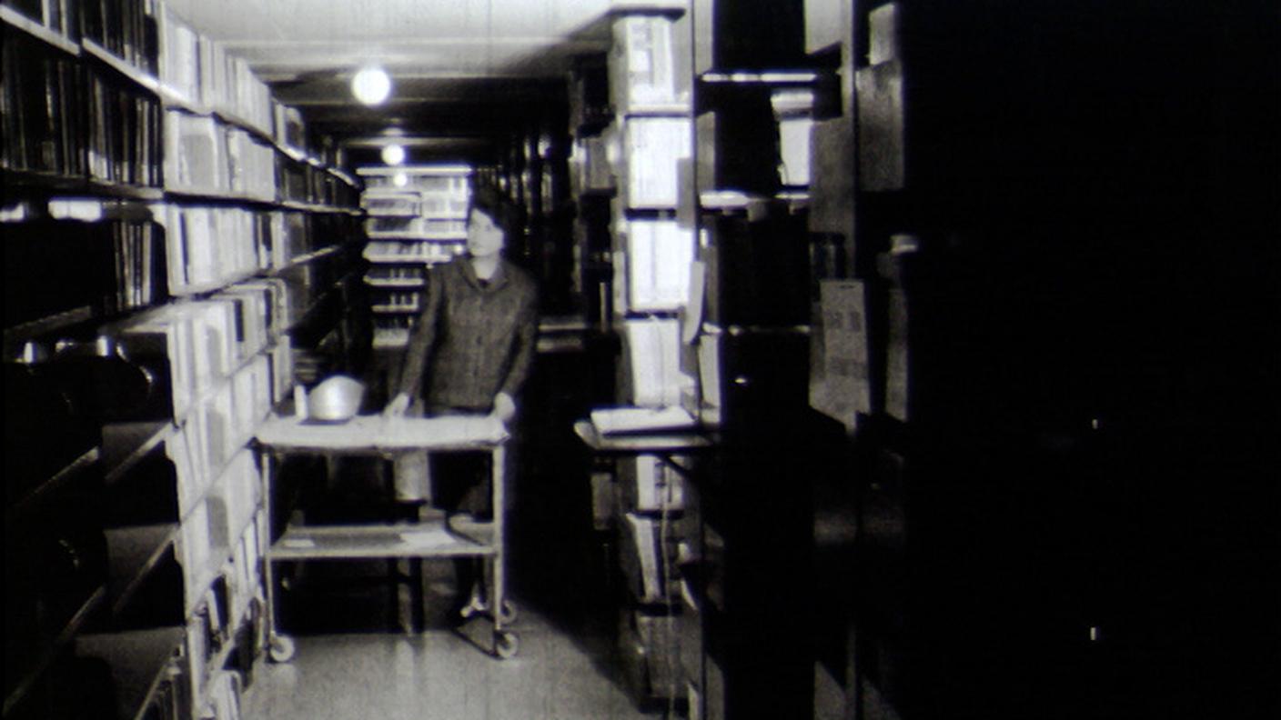 2219321_Bibliotecaria_edited.jpg
