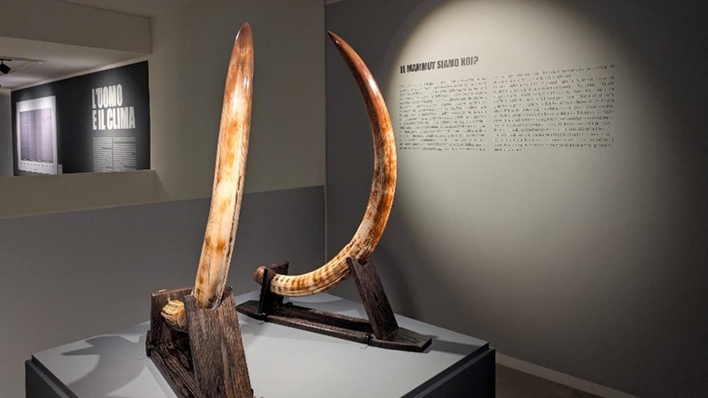 Coppia di zanne di Mammut, 20'000 a.C. 