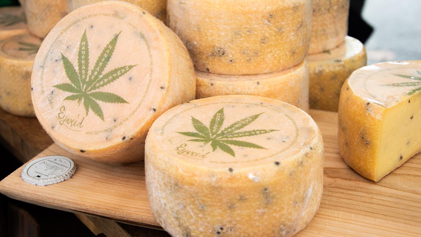 Formaggio di latte vaccino alla canapa