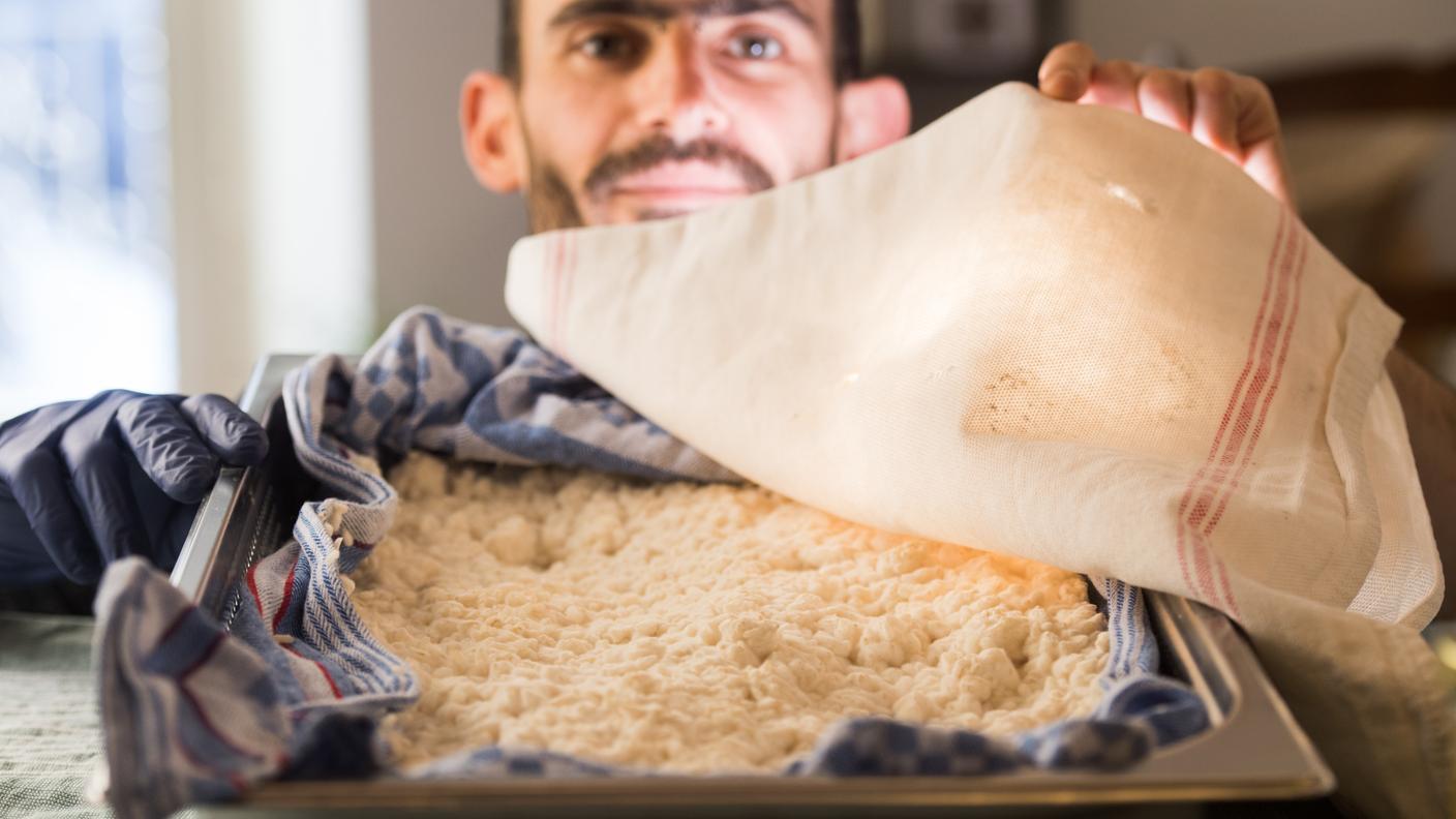 Mosogno: ritratti, imprenditori Nina Gautshil e Manuel Lanini. Nella foto un dettaglio del riso durante la fermentazione in stile giapponese per produrre di Shio Koji, Manuel Lanini dell'azienda Sempervivum, produzione di prodotti derivati dalla fermentazione di vari vegetali e cereali.