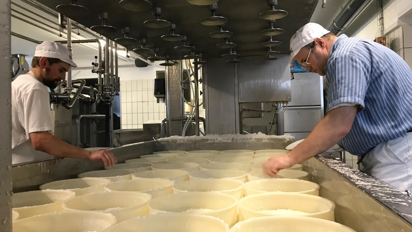 Michael Spycher al lavoro nel suo caseificio. Come produttore fa parte del collettivo Gourmino AG di Berna insieme ad altri produttori del territorio, ma è l'unico a produrre il formaggio Hornbacher