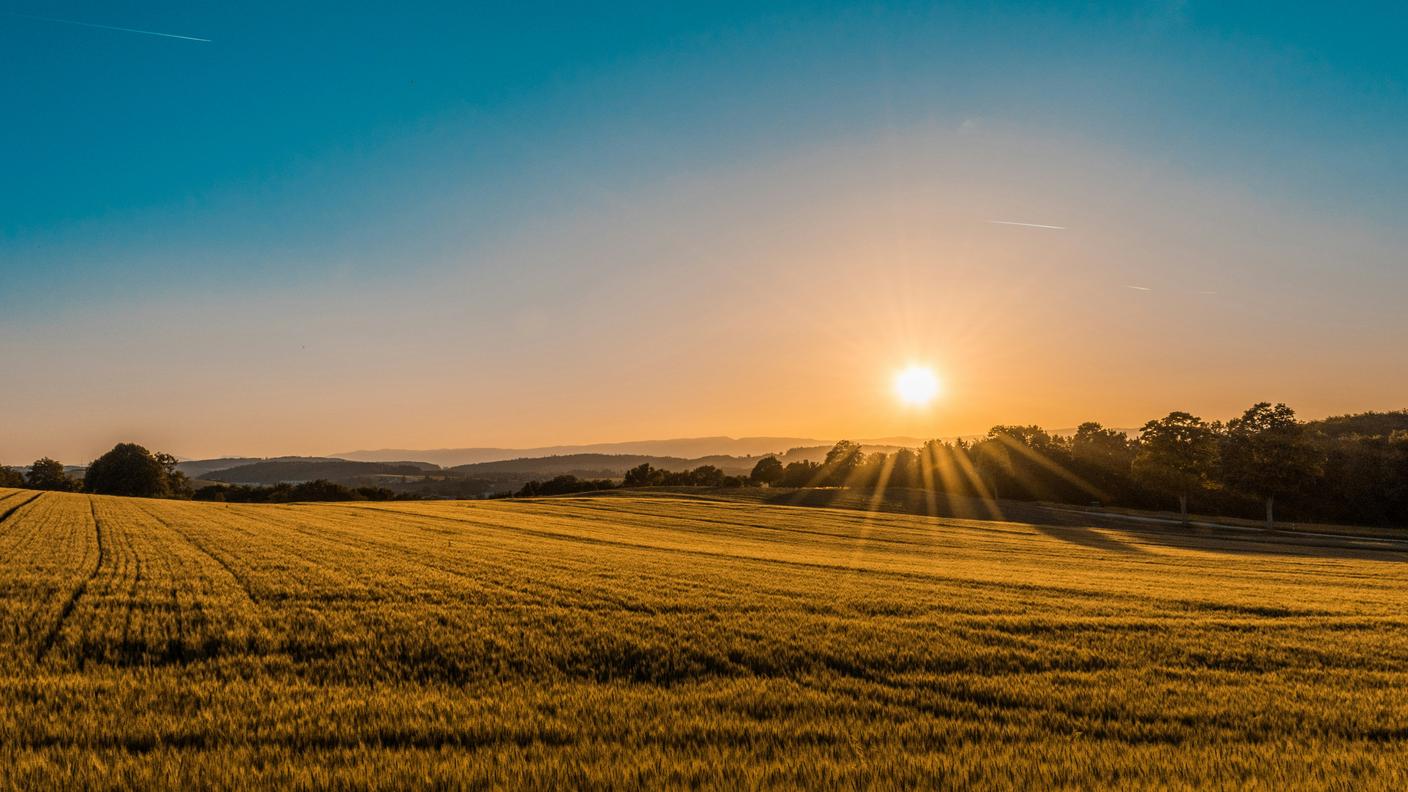 foto di Federico Respini, Unsplash