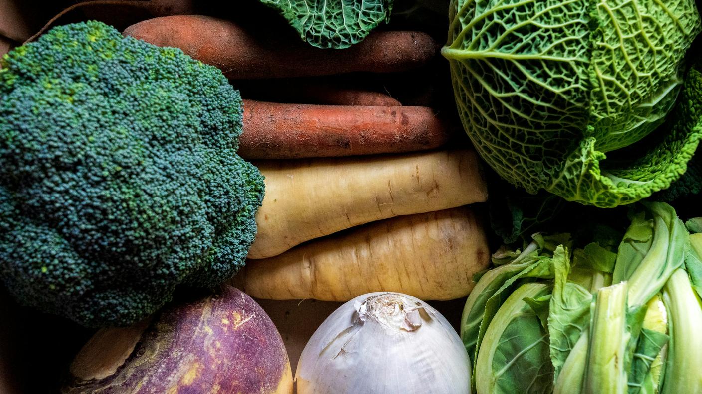 ortaggi invernali, verza, cavolo, rape, broccolo, spesa, star del mese, febbraio, inverno, gennaio, verdura