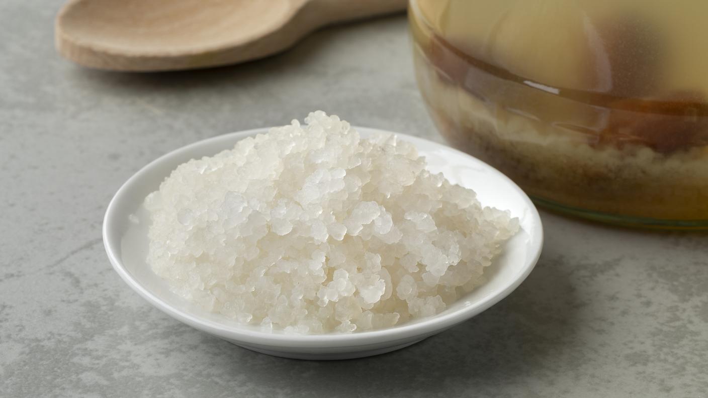Granuli di kefir d'acqua probiotici biologici (tibicos)