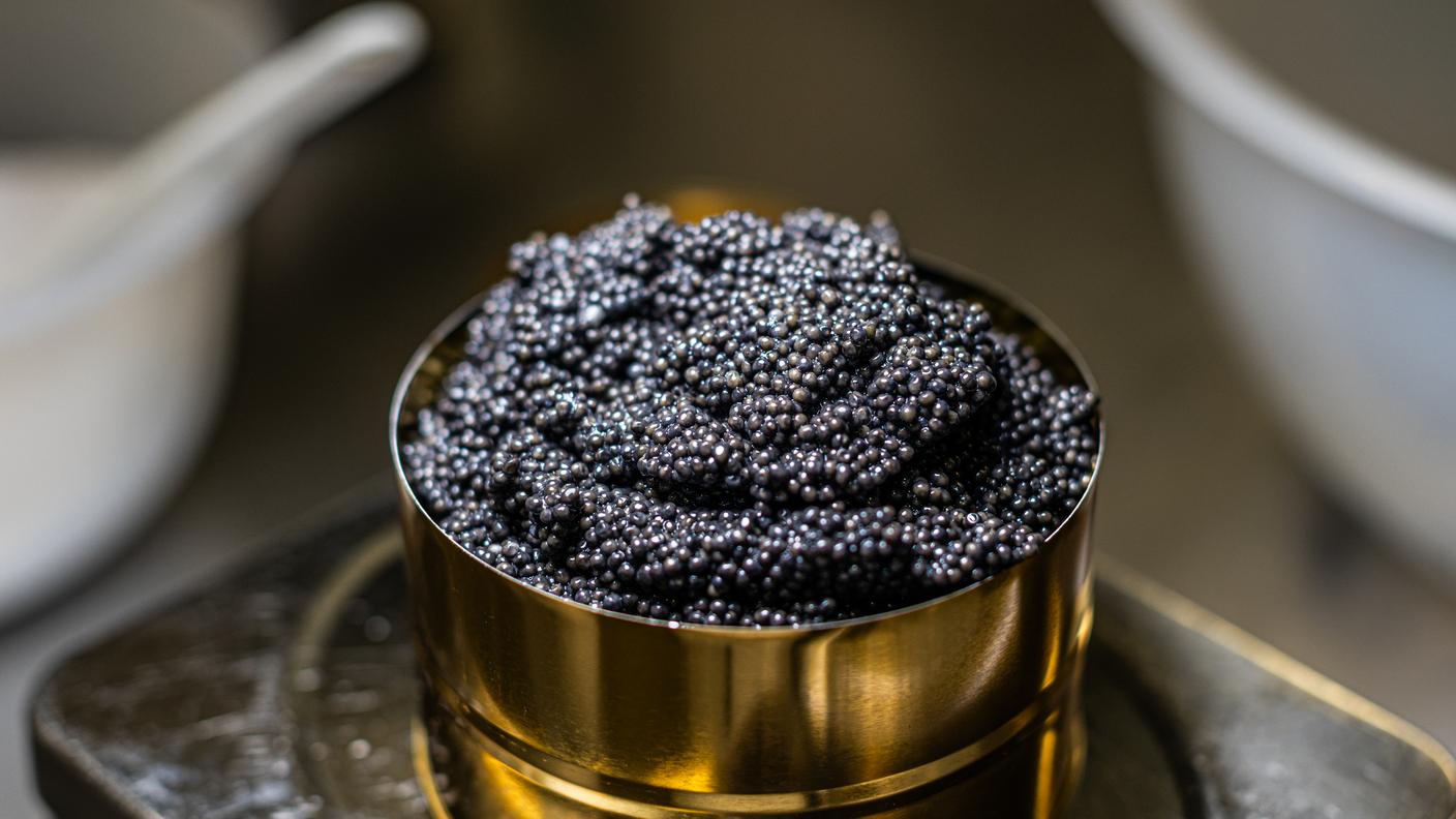 Caviale Frutigen