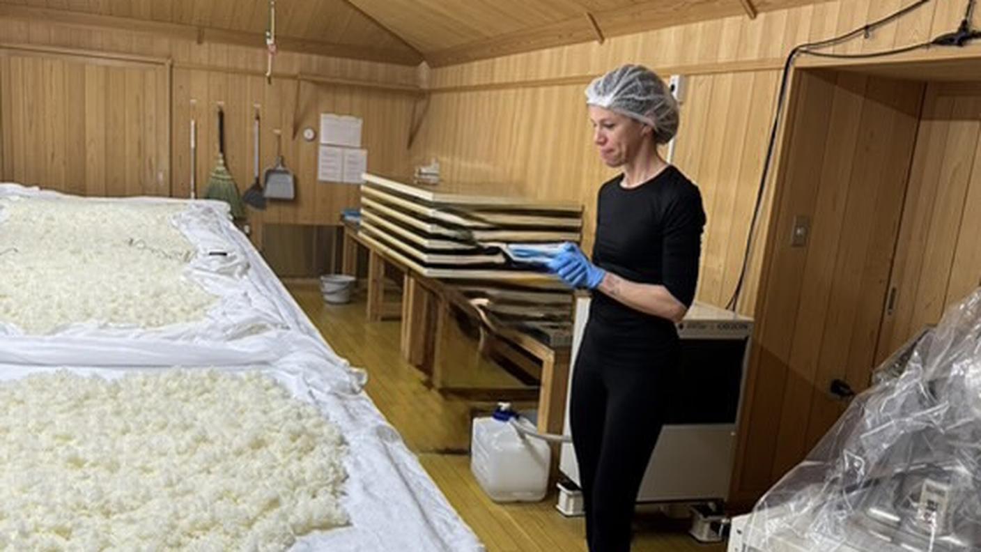 Lavorazione del riso nella koji-muro