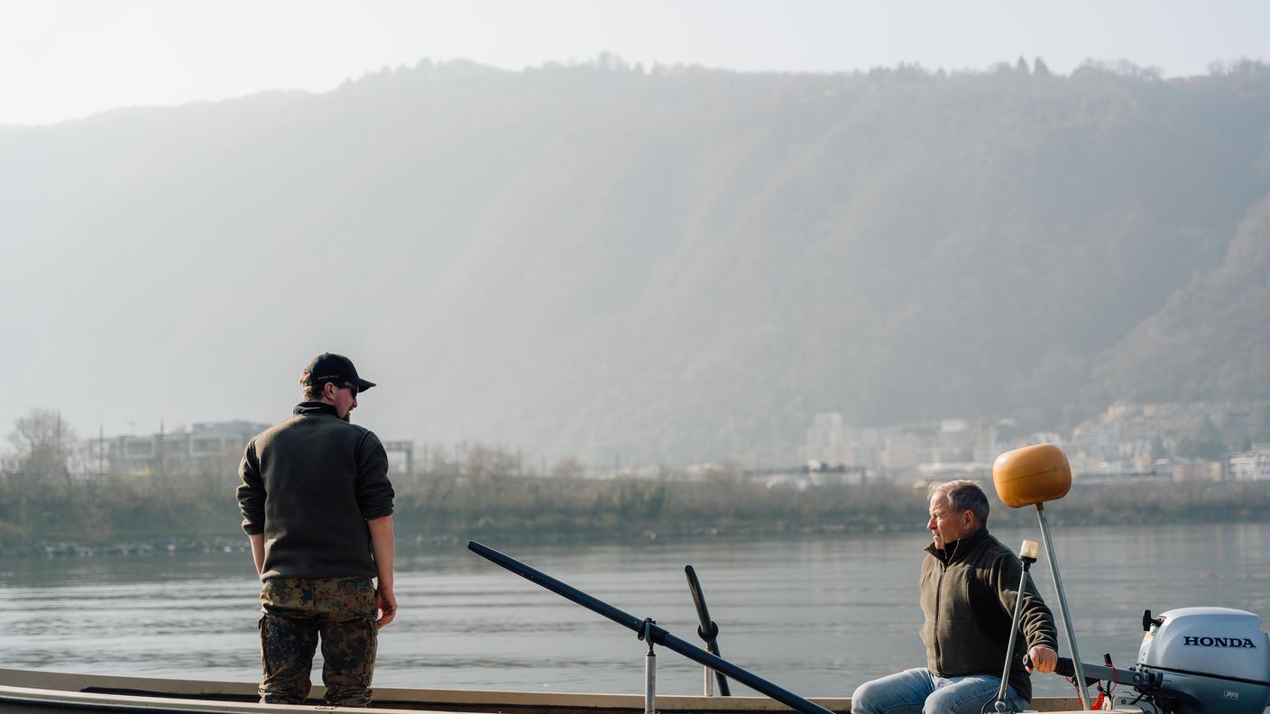 Pesca, pescatori, lago, ceresio, bissone, assoreti
