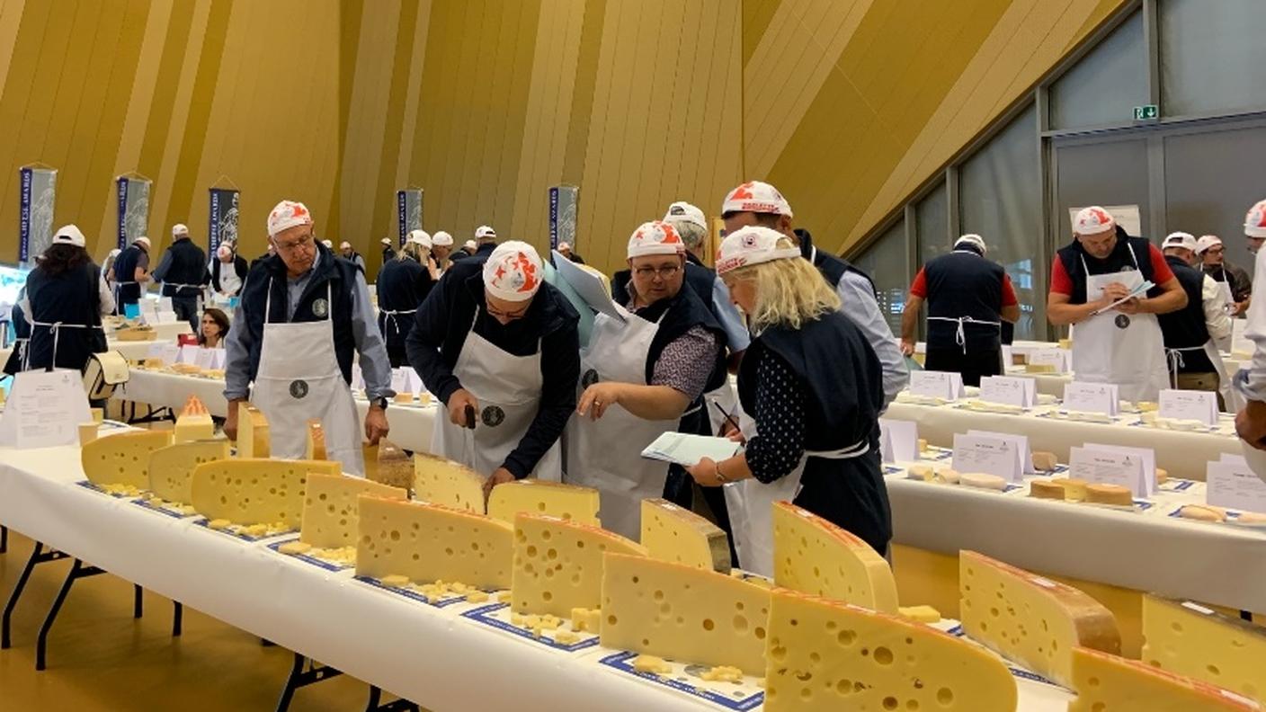 Giuria al lavoro