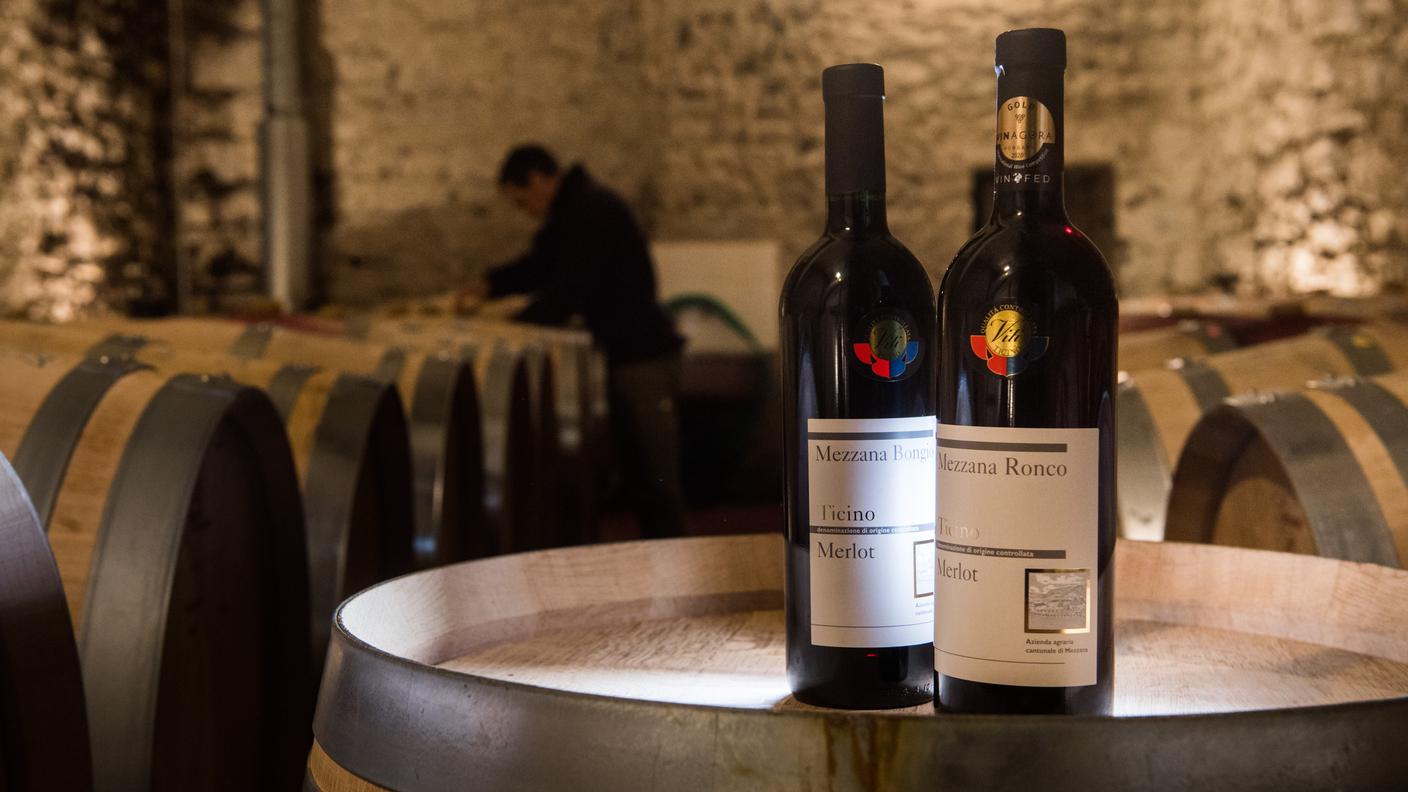 Ronco di Mezzana, Vino 