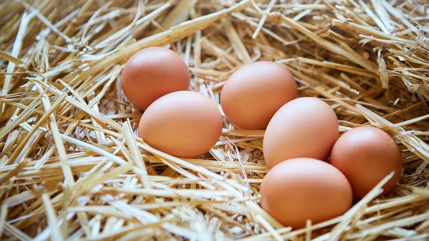 iStock-uova