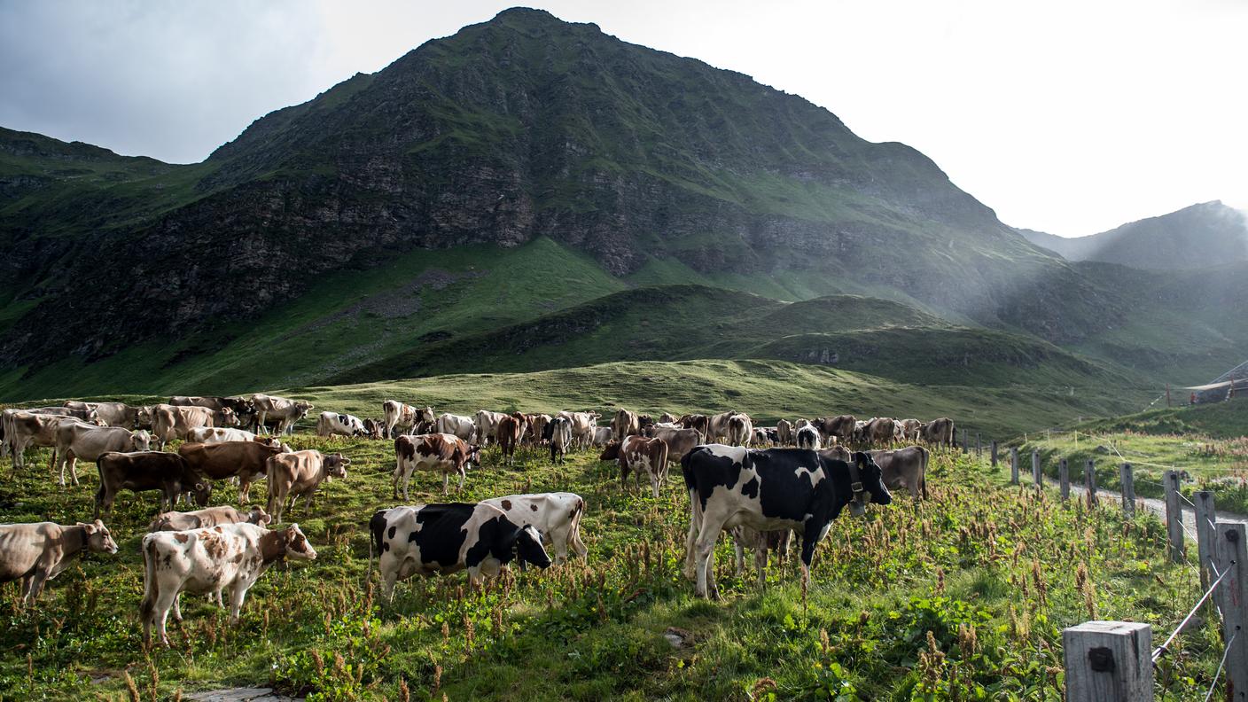 L'Alpe Piora in Ticino