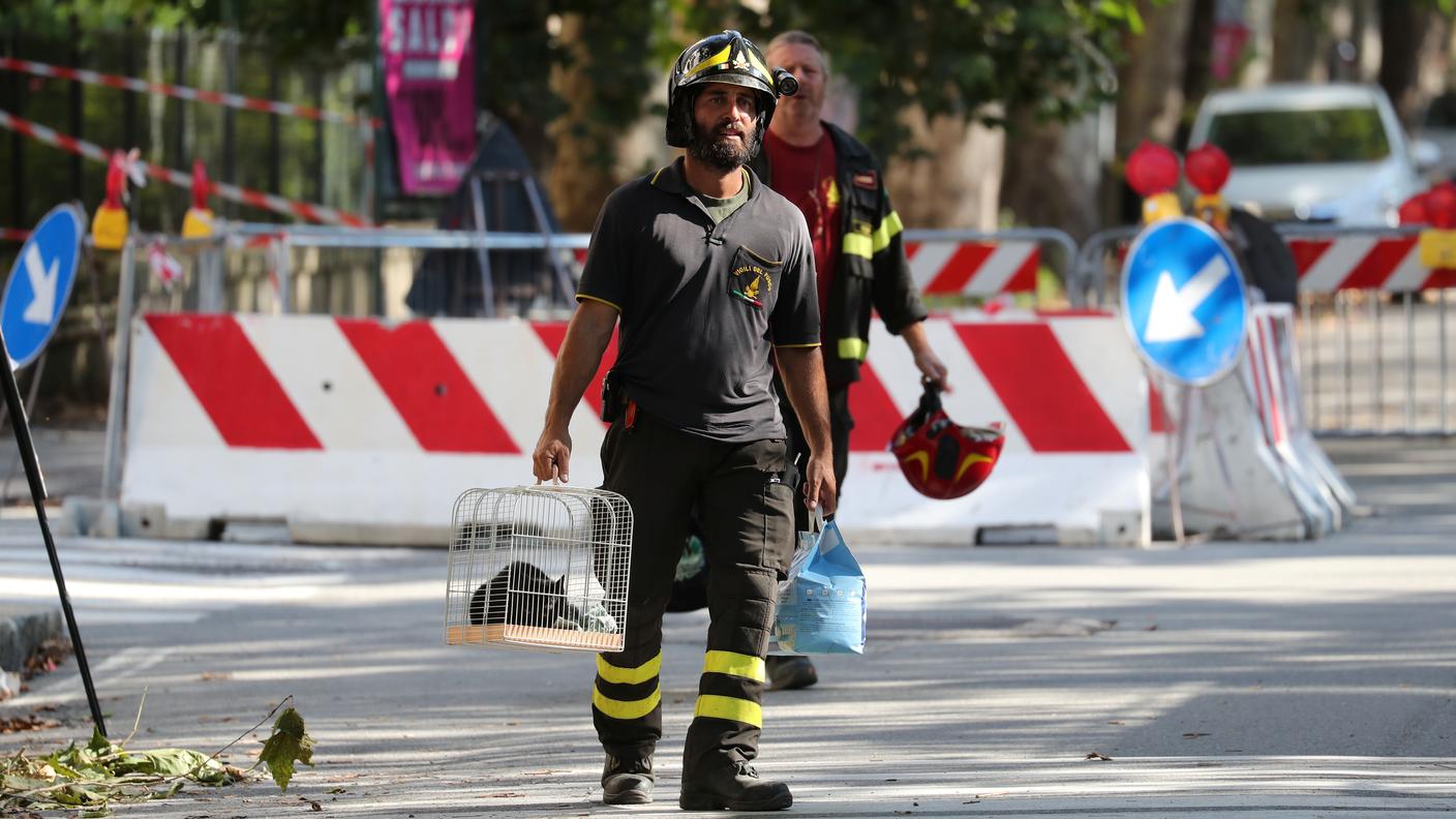 I vigili del fuoco hanno tratto in salvo anche gli animali domestici