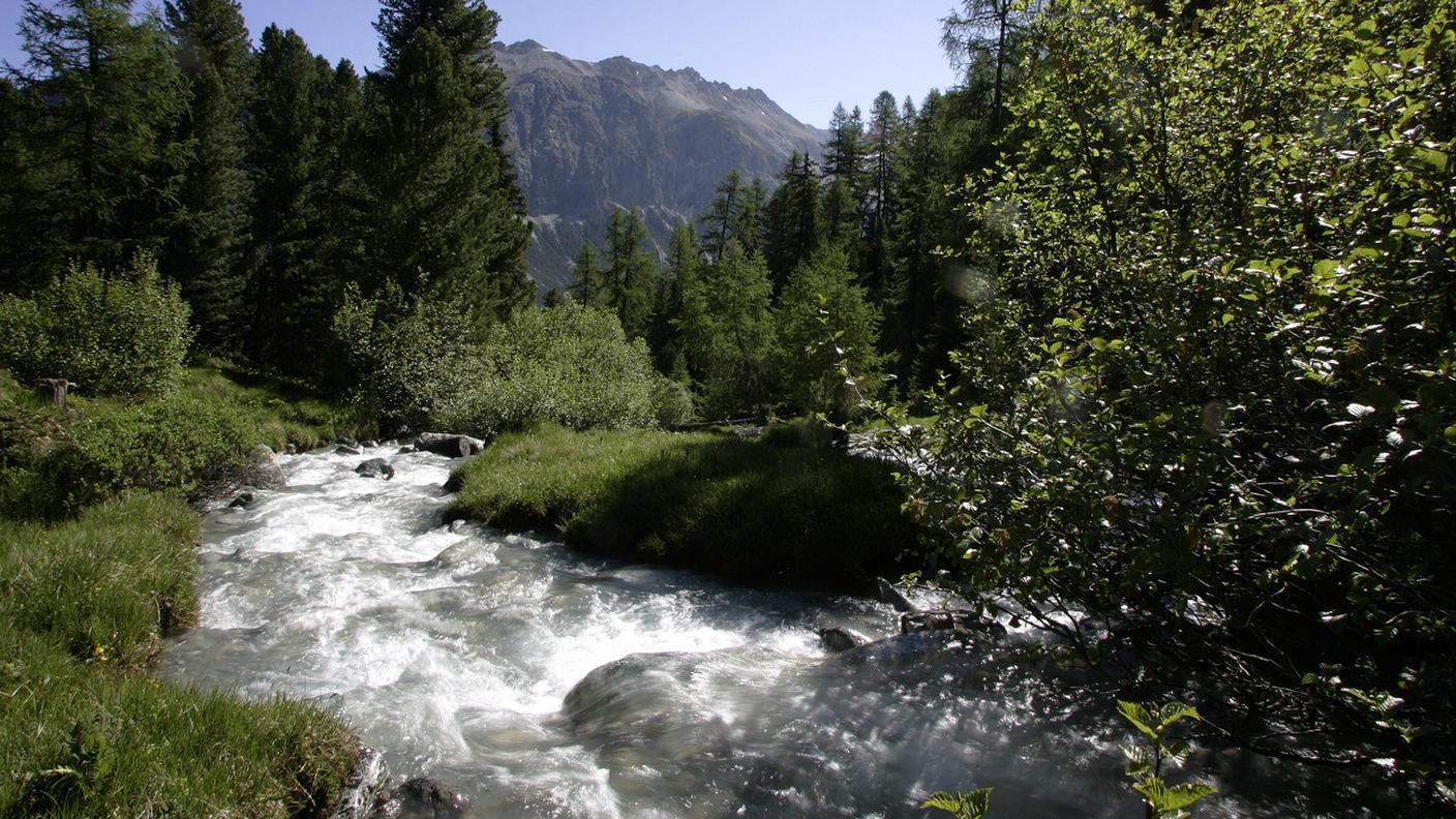 Il Parco Ela ha generato 8,8 milioni di valore aggiunto