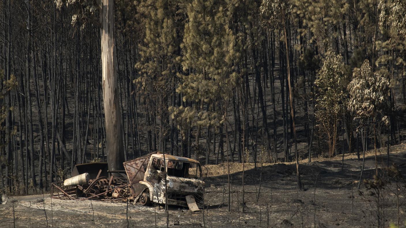 Distrutti migliaia di ettari di foreste in quattro giorni