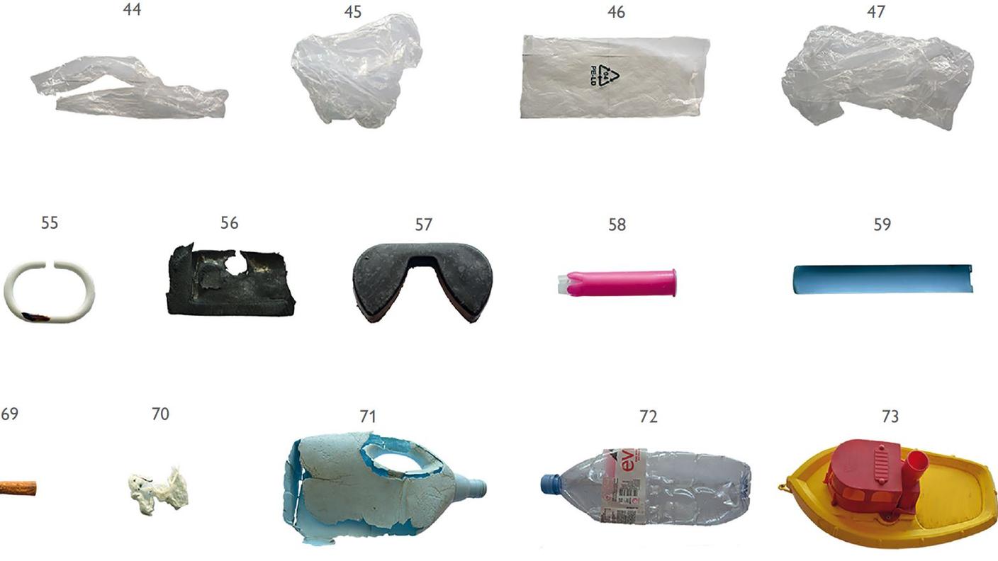 Un'immagine tratta dallo studio "Rifiuti plastici dispersi nella natura"