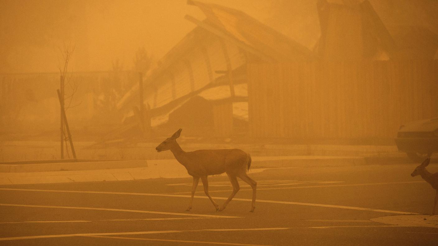 L'estate 2021 è stata caratterizzata da una serie di incendi scoppiati in diverse località, dalla California - nella foto - al sud dell'Europa