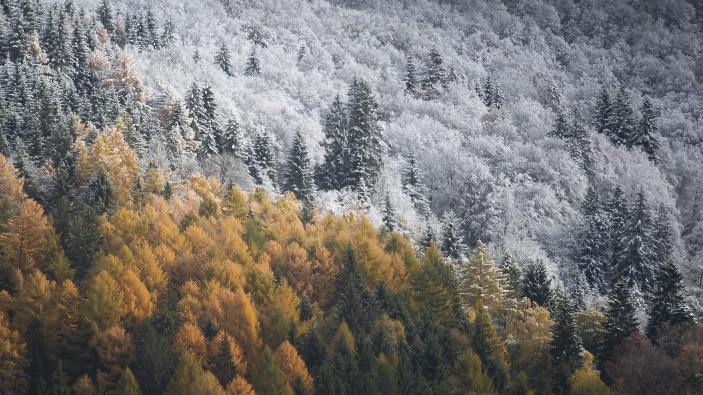 Le prime tracce di neve caduta oltre i 1'300 metri nel Luganese