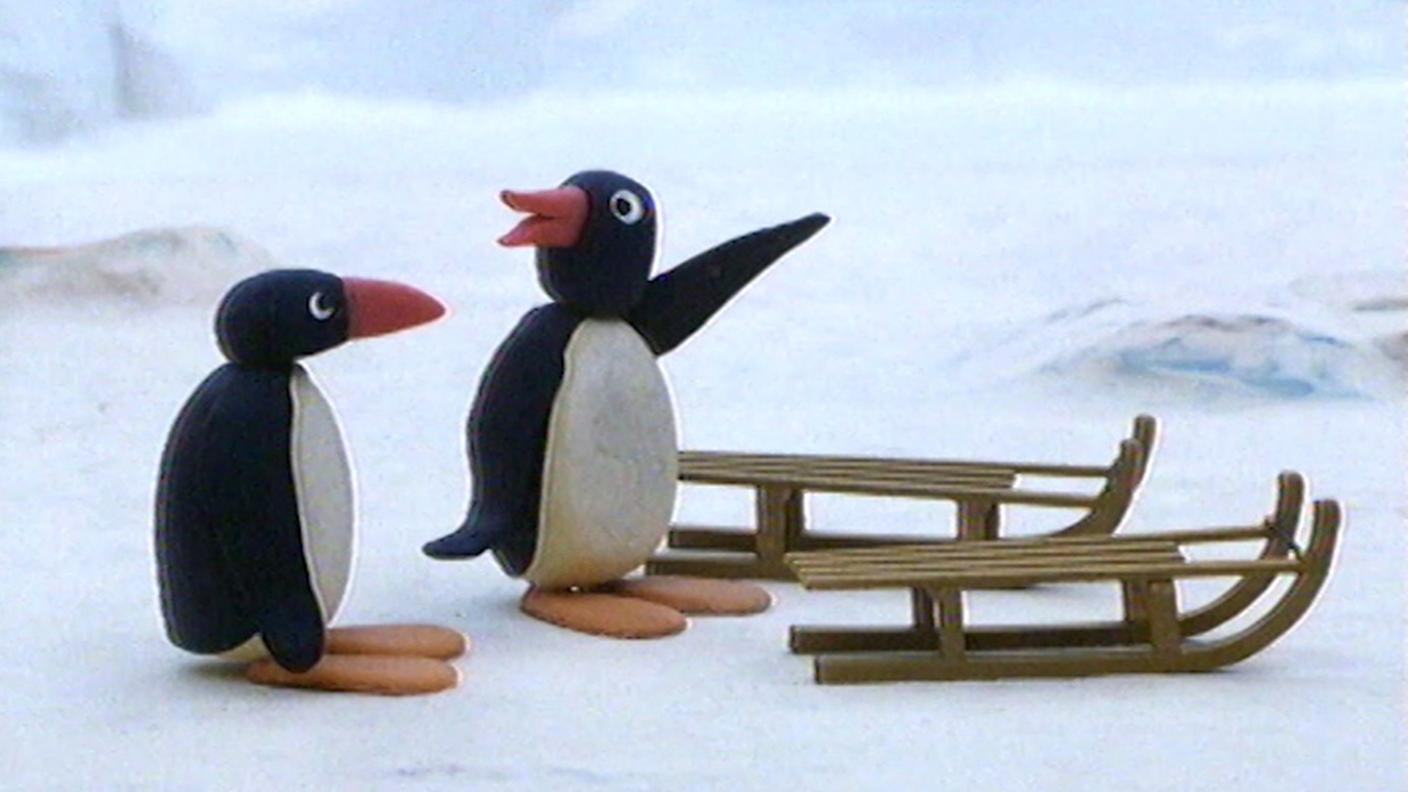 Pingu 13 La corsa con le slitte.00_01_53_23.Still001.jpg