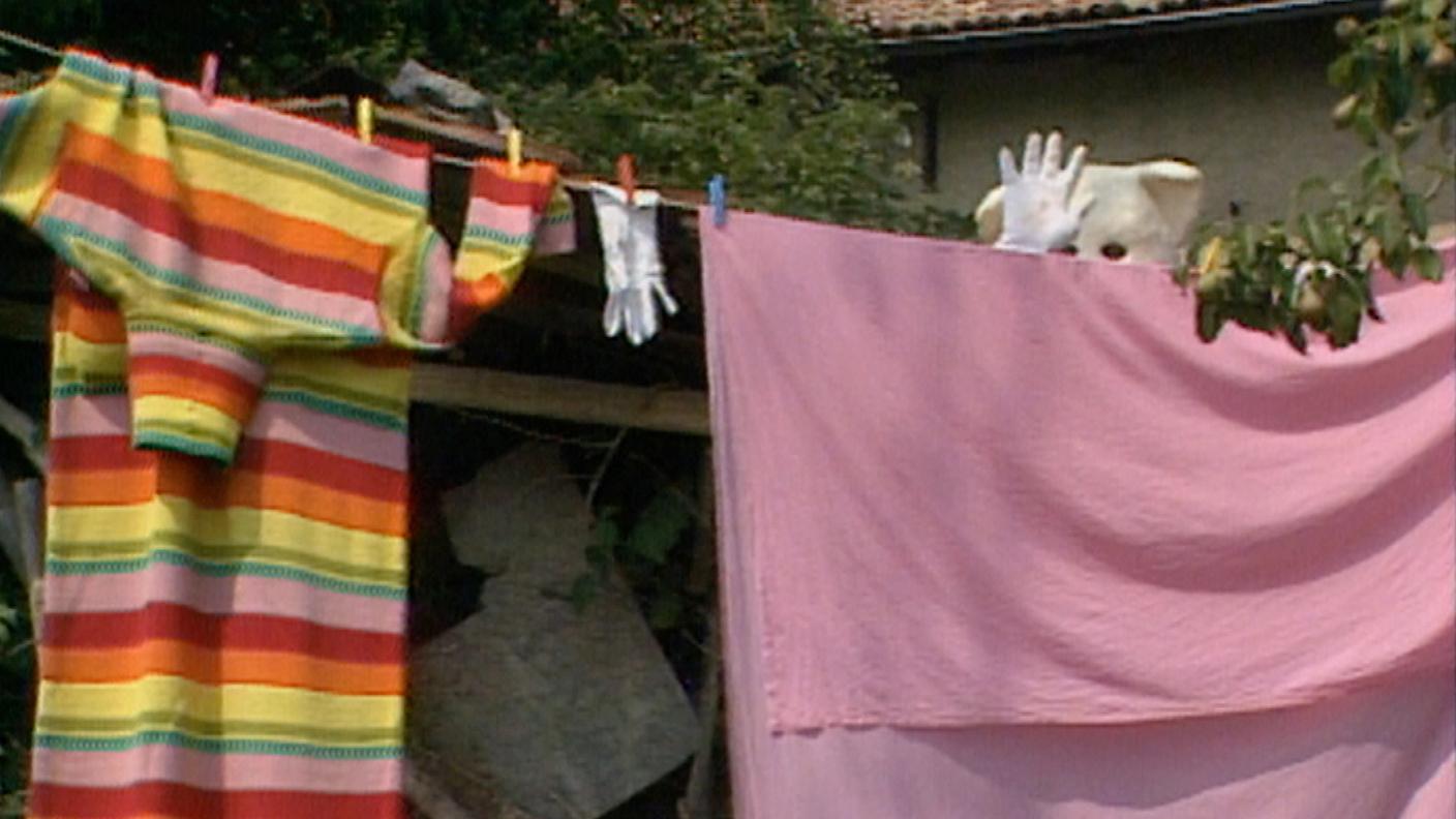 2427384_Arturo il ritorno di un amico 01.jpg