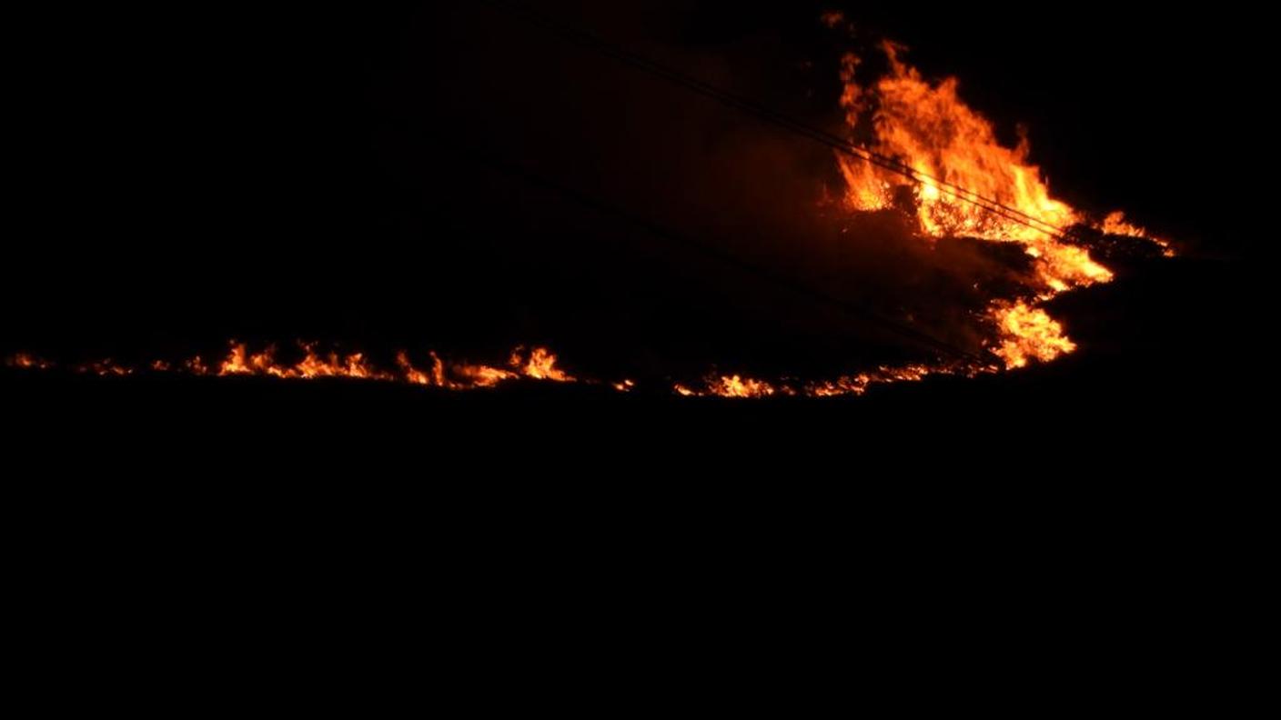 Fuori controllo l'incendio nel Gambarogno: apprensione per il vento (30 gennaio 2022, ore 22.00)