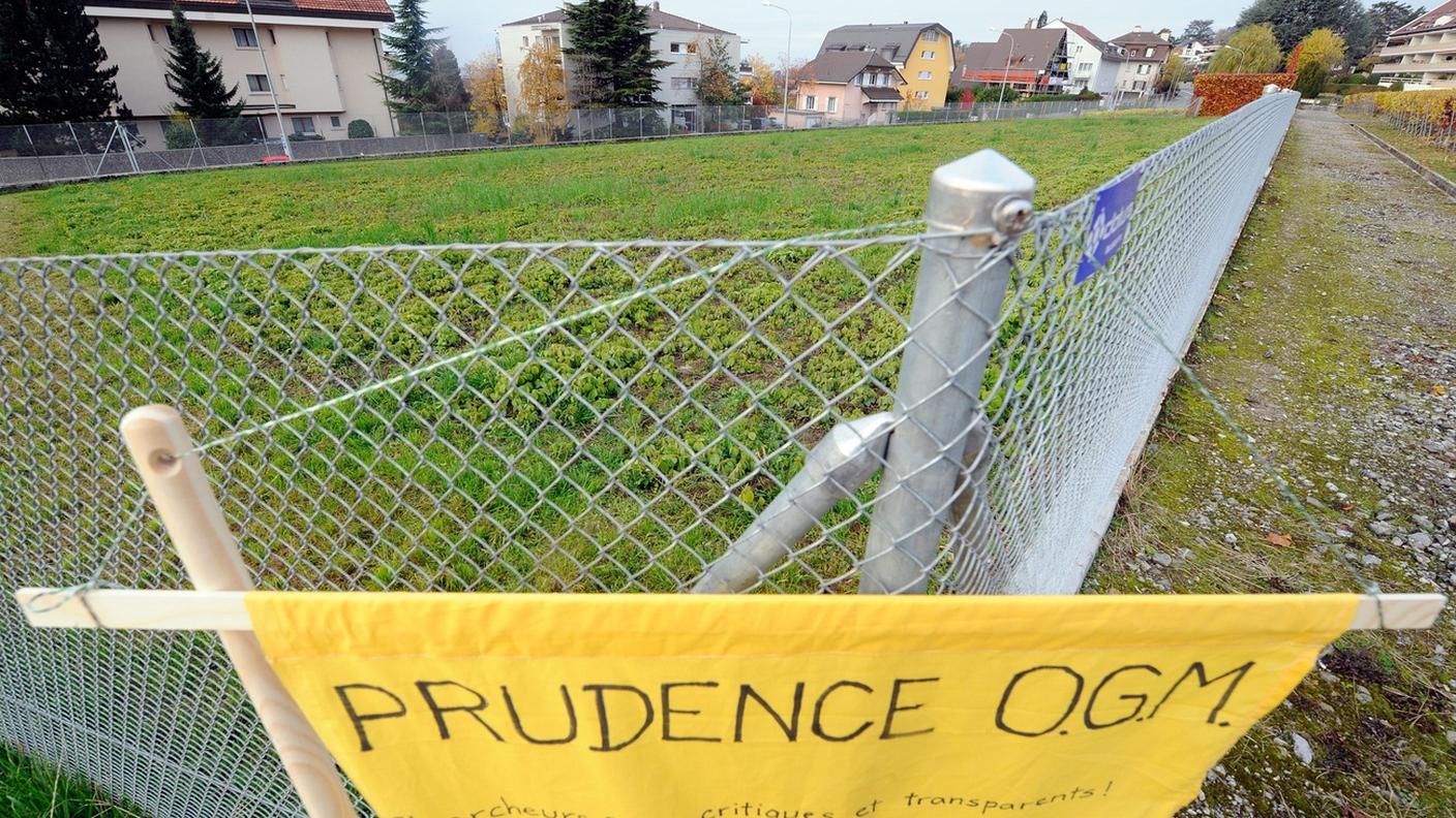 Gli OGM fanno discutere da decenni e anche le autorizzazioni per la ricerca scientifica suscitano costantemente proteste come avvenuto a Pully nel 2008