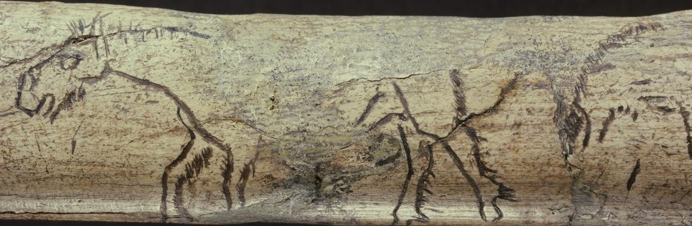 Il primo disegno svizzero, conservato al Museo Nazionale Svizzero di Zurigo, rappresenta due cavalli su un
corno di renna e risale a 13 mila anni fa
