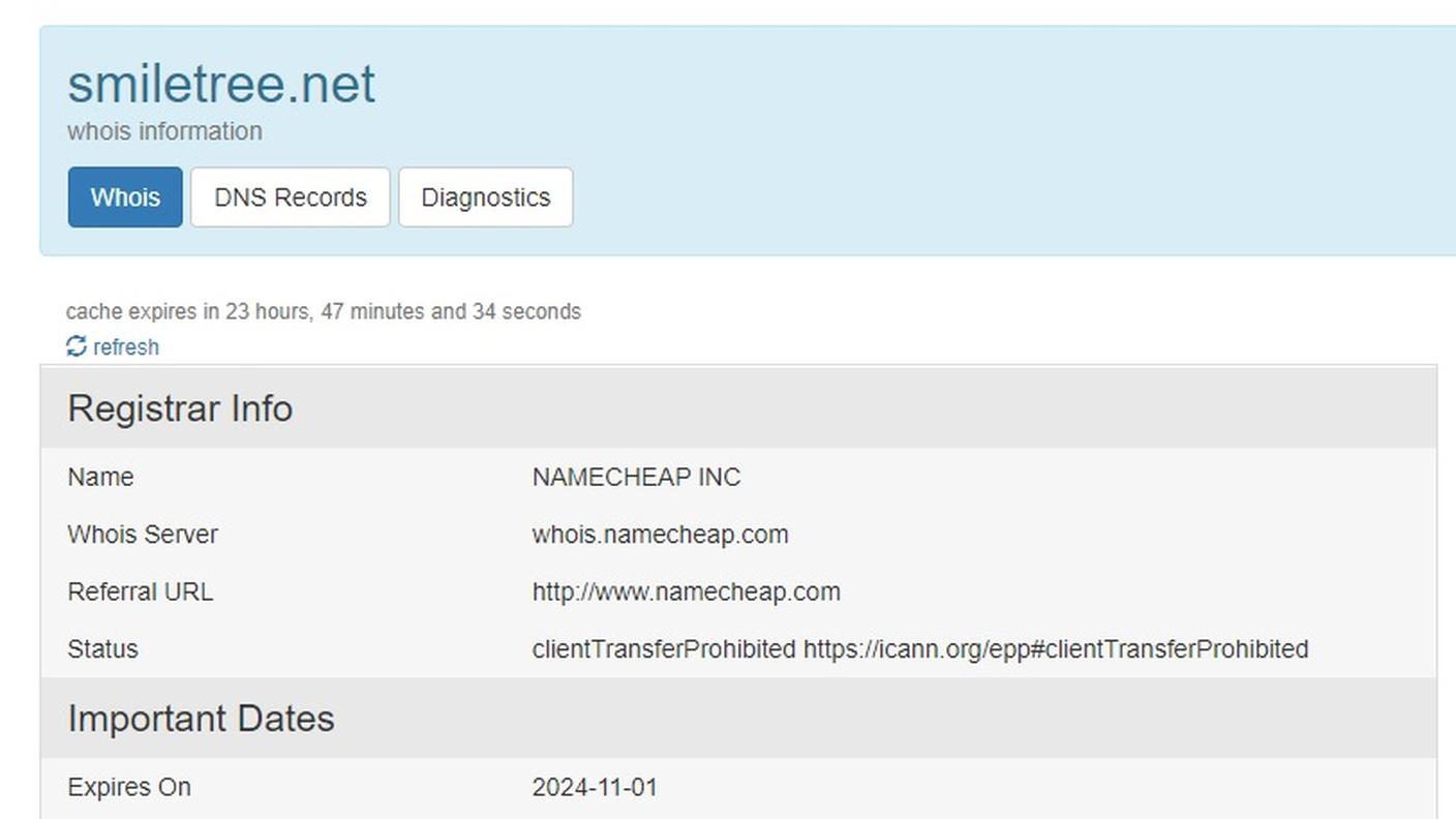 Le informazioni legate agli url delle finte pagine RSI