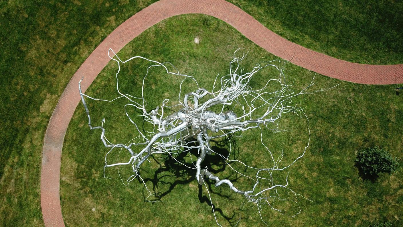Connessioni neuronali  Foto Bl∡ke .jpg