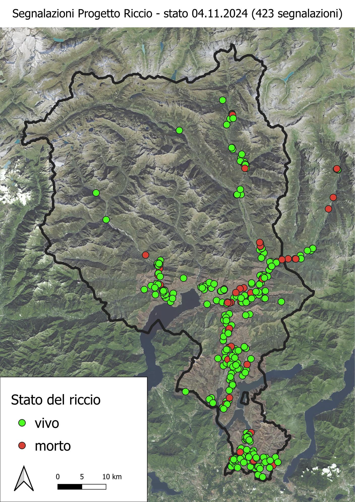 Lo stato delle segnalazioni del progetto "Riccio, dove sei?" a novembre 2024. 