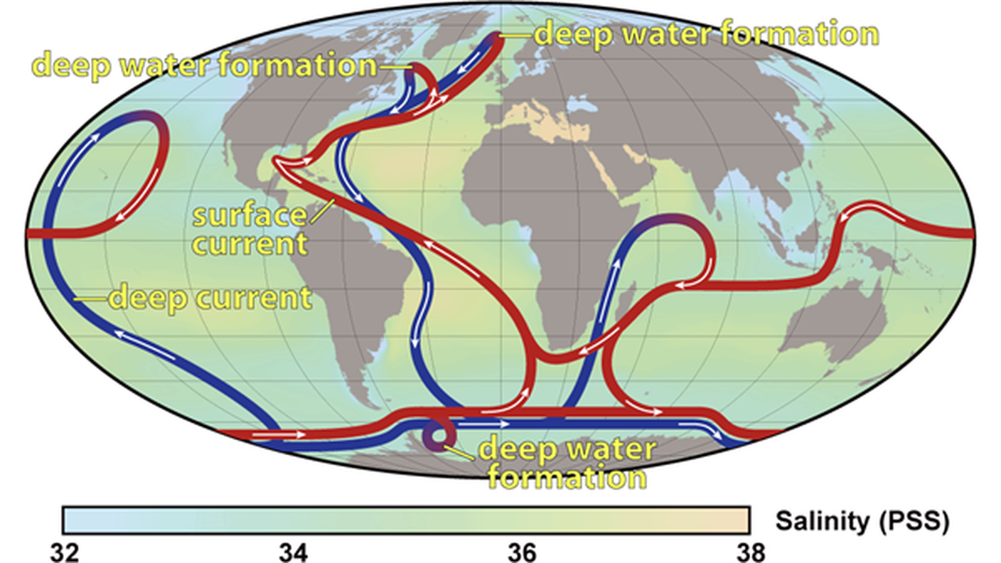 Un'immagine semplificata della circolazione termoalina globale. Nella zona tra il Nord America e l'Europa, si osserva il processo definito AMOC 