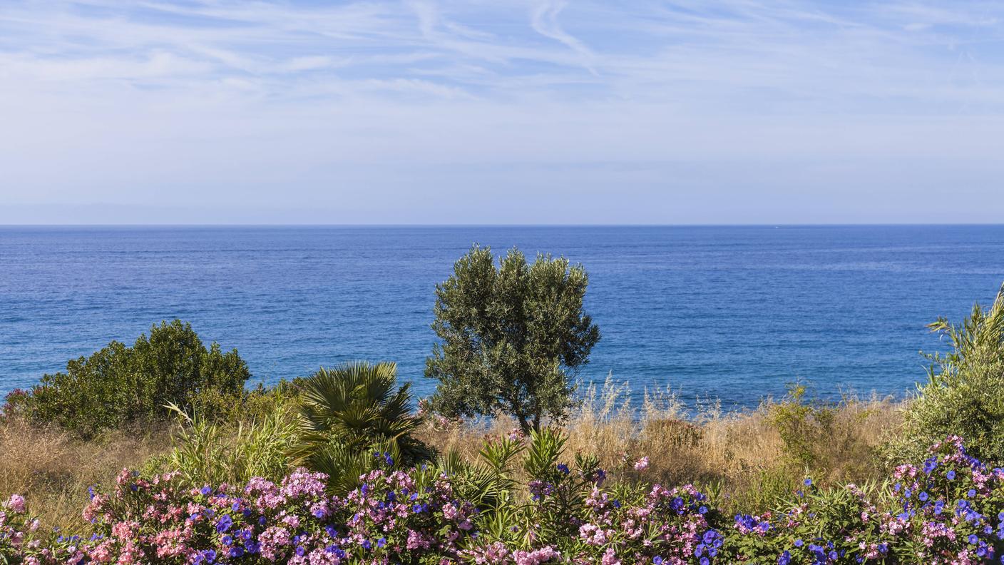 La Riviera di Ponente è naturalmente vocata alla coltivazione di fiori