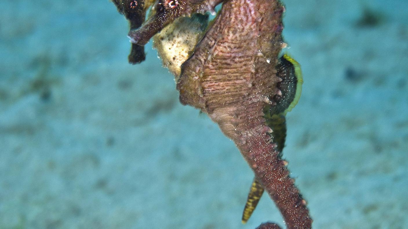 imago62982509.jpg