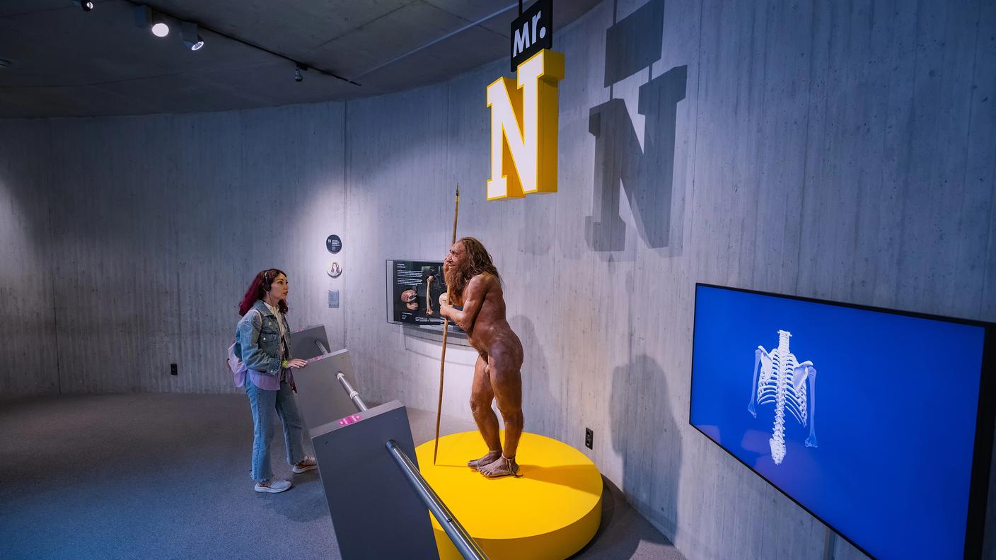 Museo Neanderthal Düsseldorf