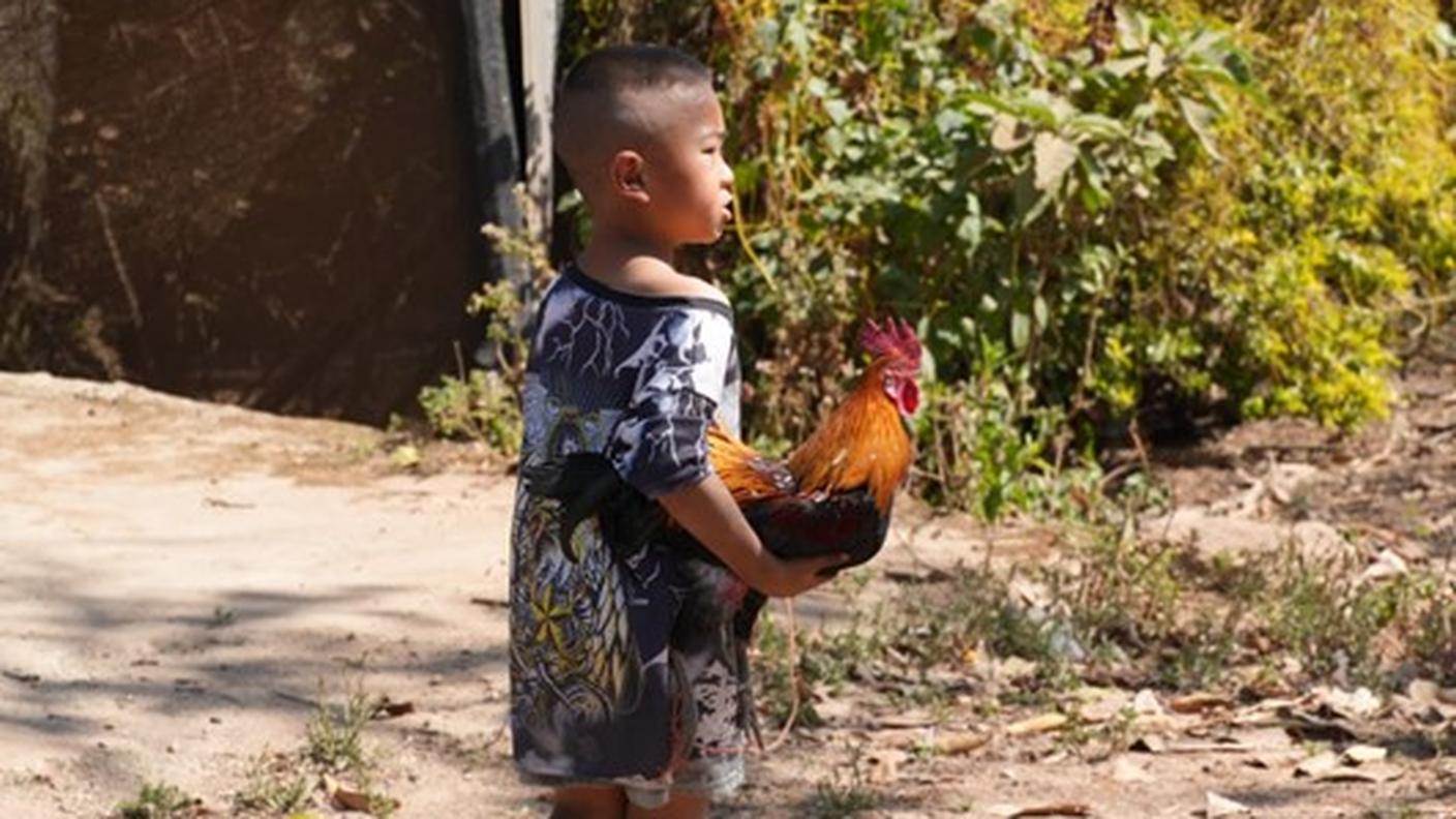 Bambino con gallo in braccio, Khun Chang Khian