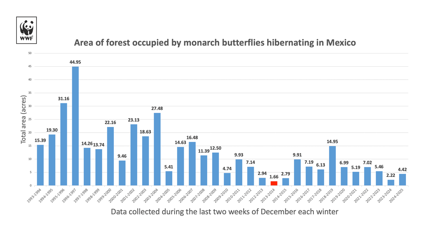 Area forestale occupata dalle colonie di farfalle monarca in Messico durante la stagione di ibernazione. I dati vengono raccolti annualmente nelle ultime due settimane di dicembre. 