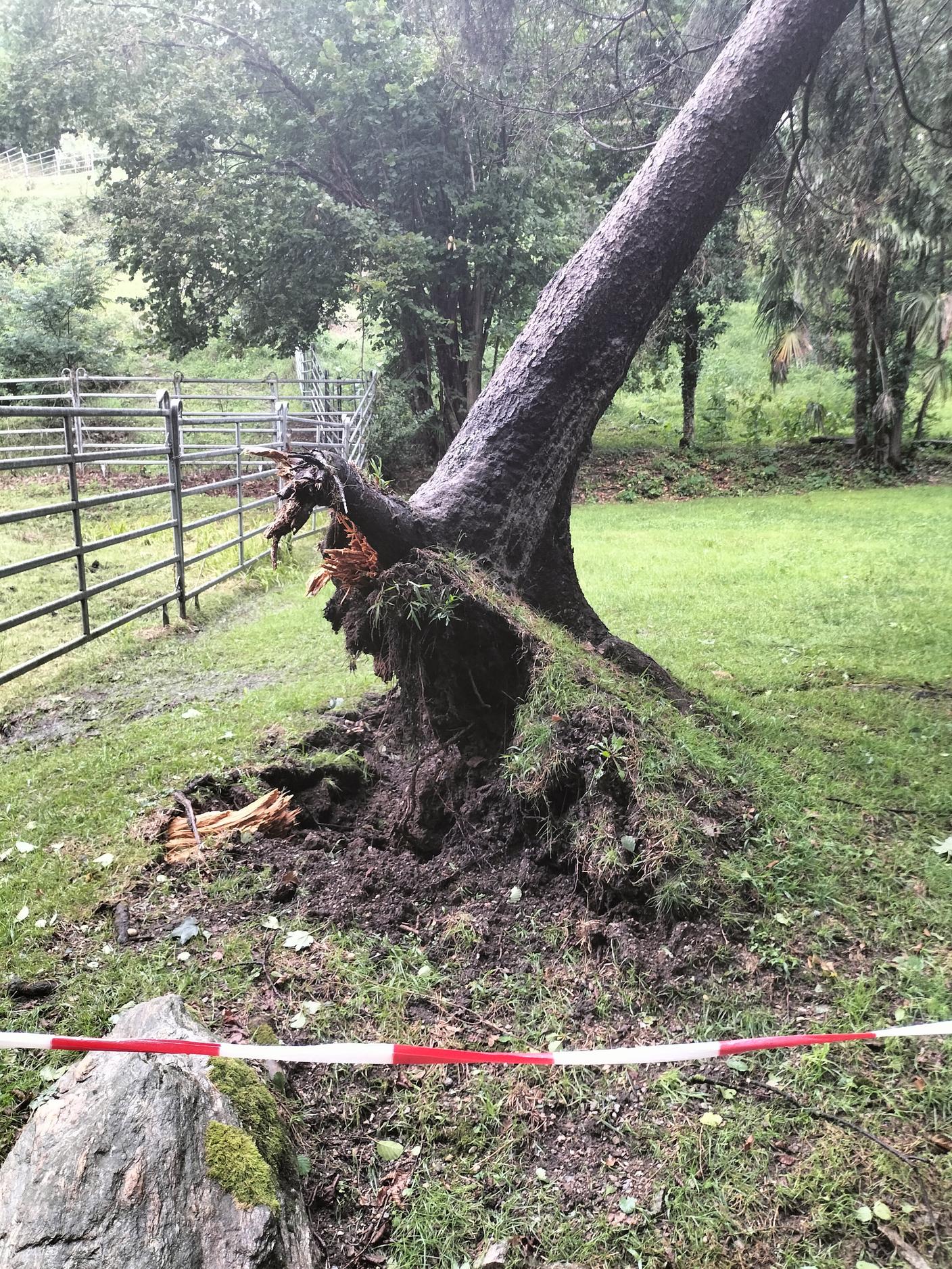 Al Parco Vira di Savosa