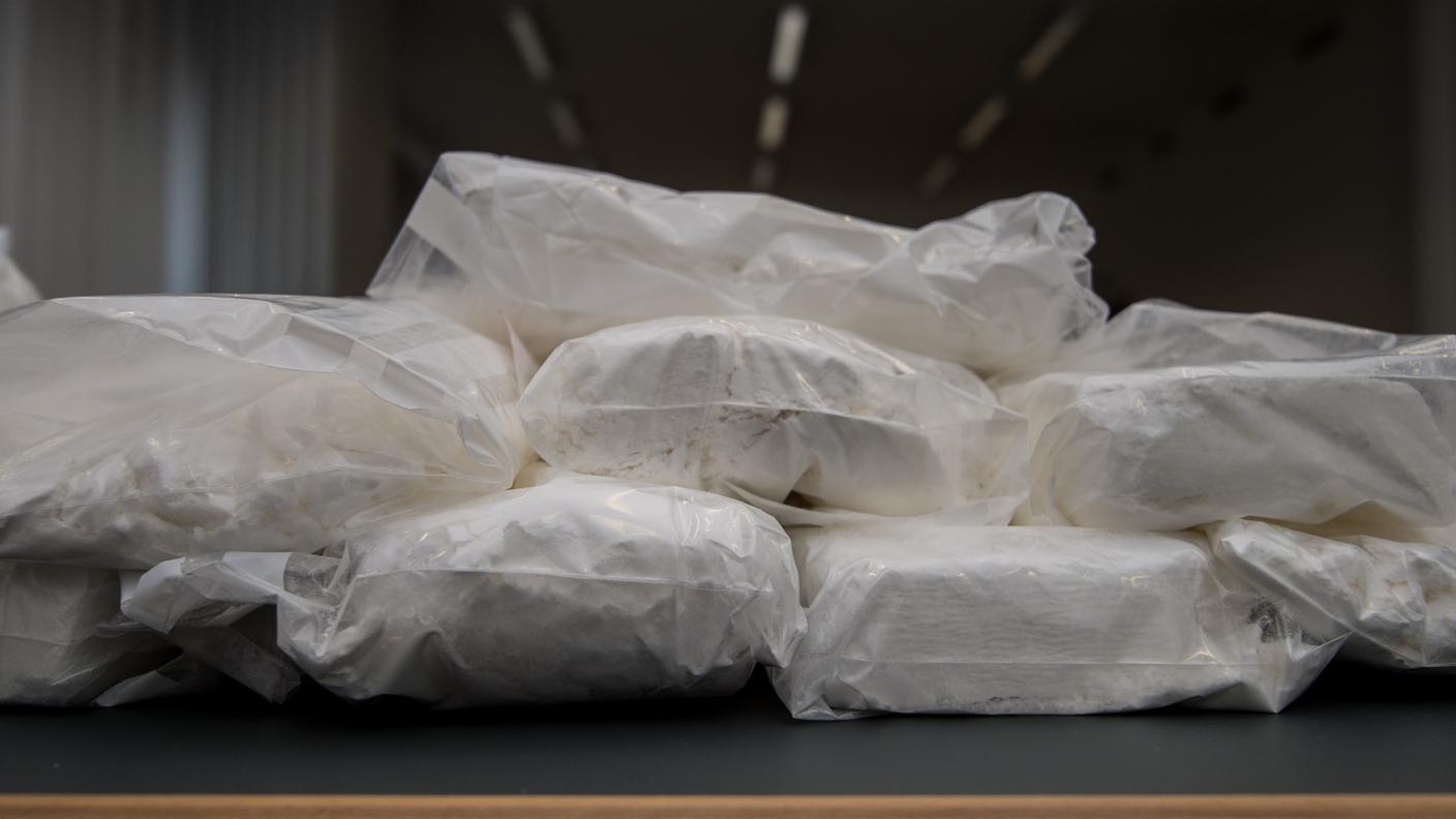 Nella foto una spedizione di 25 chili di cocaina