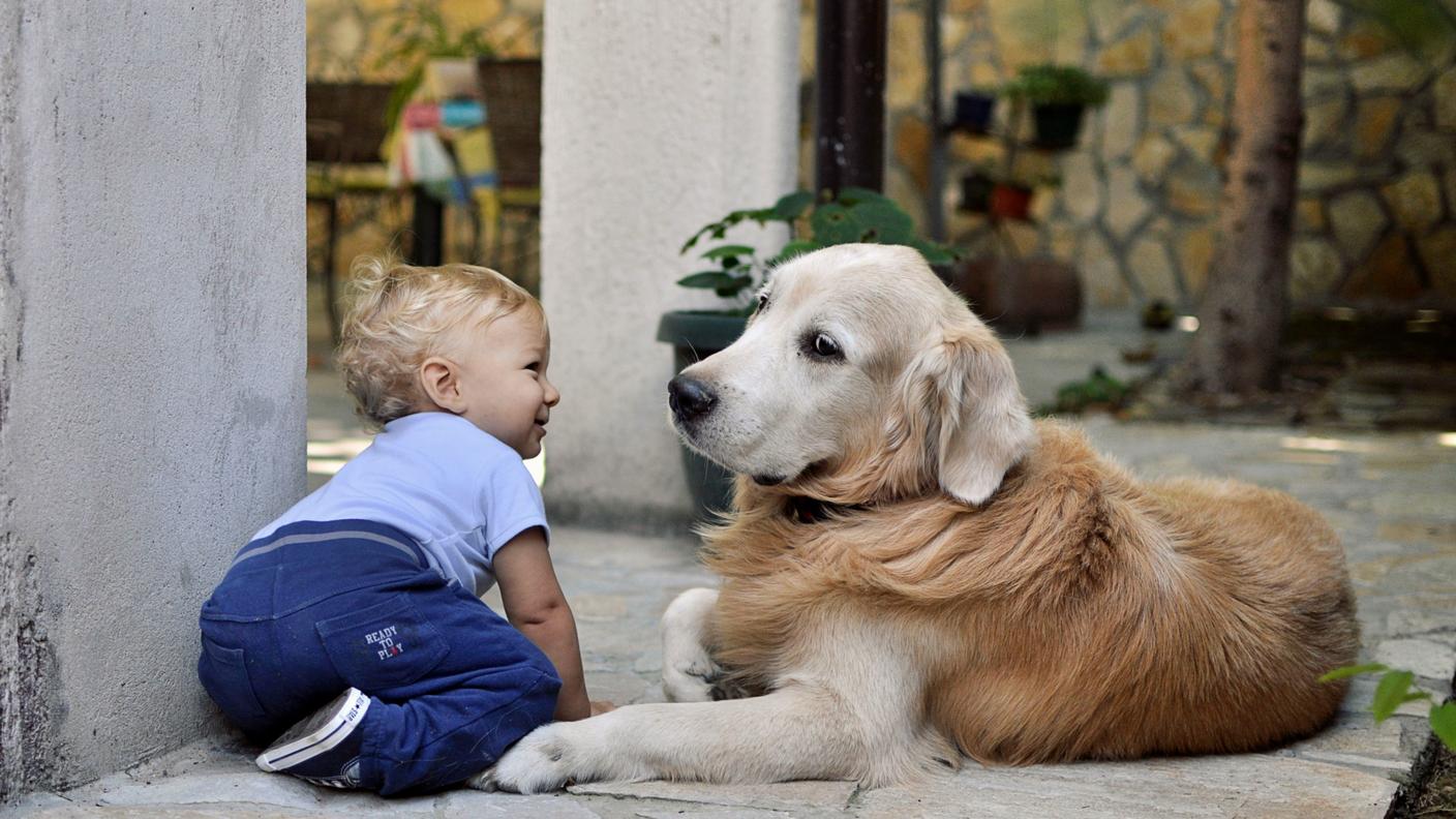 bambino-piccolo-cane-vicino-scaled.jpg