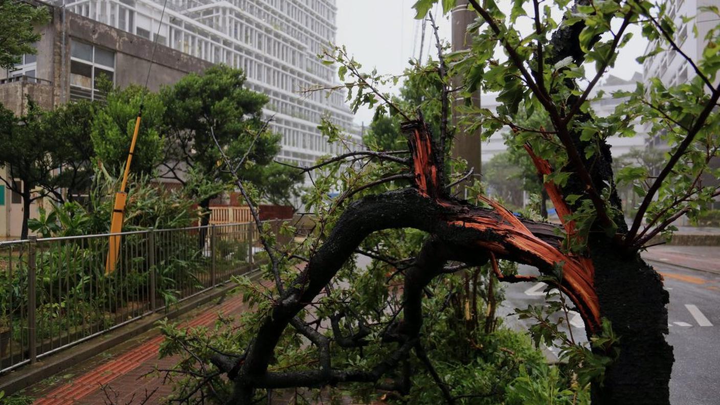 Il tifone Neoguri devasta il Giappone del sud