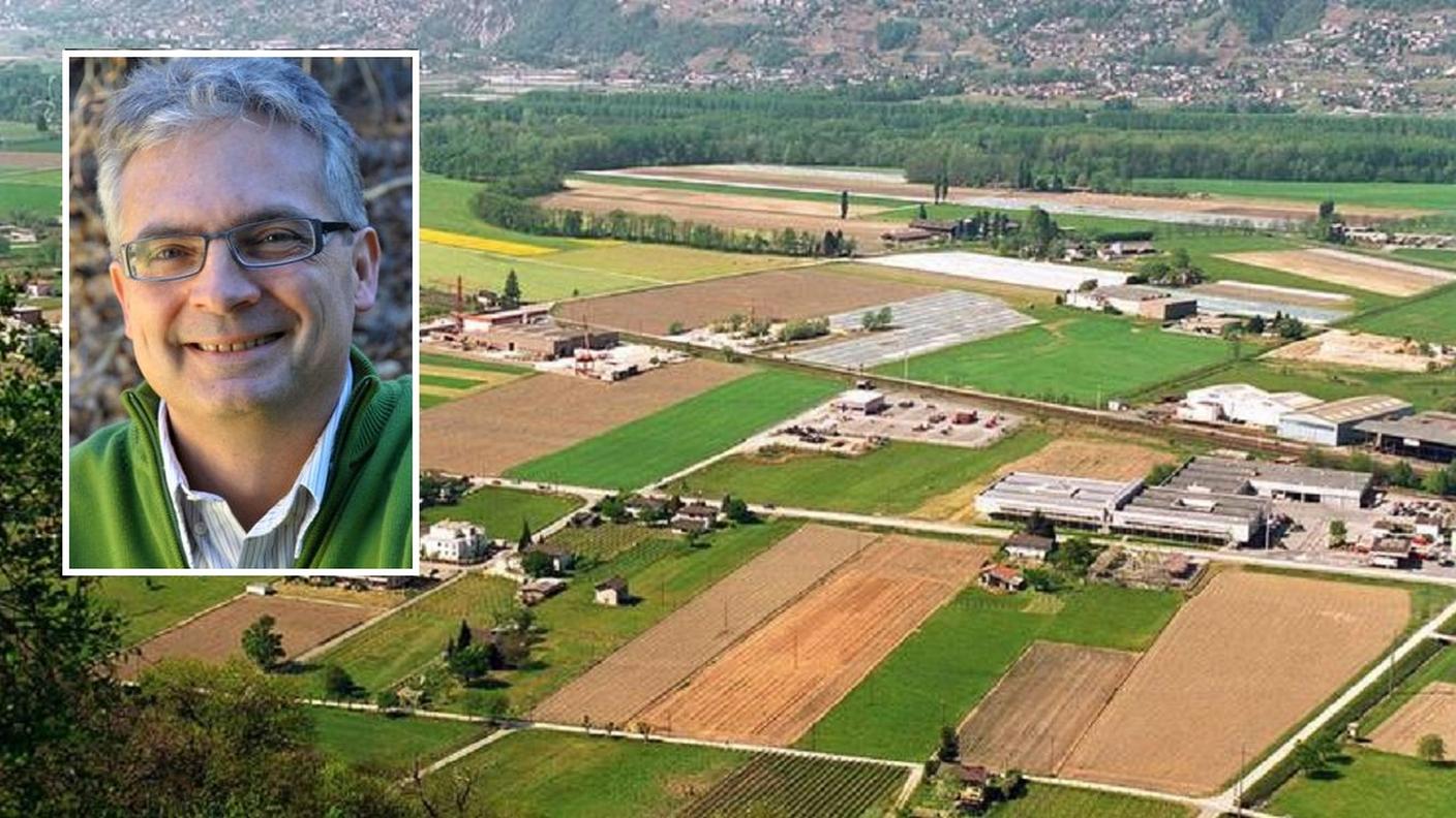 Il Piano di Magadino e Francesco Maggi