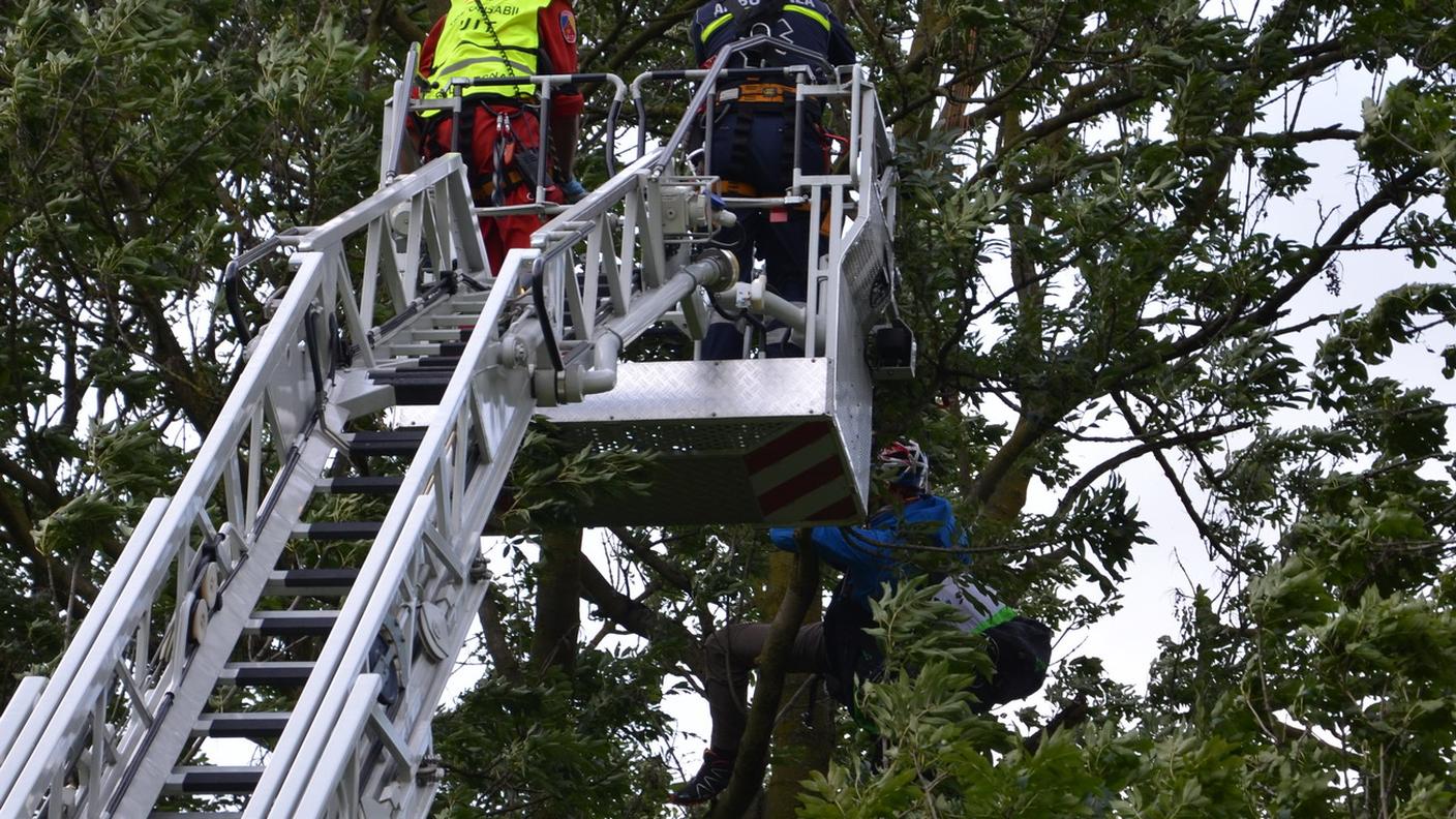 Pompieri al soccorso