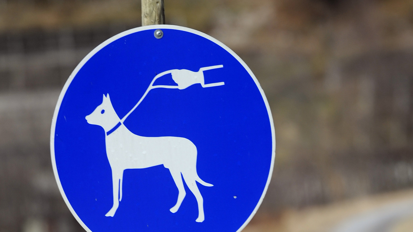 Il guinzaglio, un optional