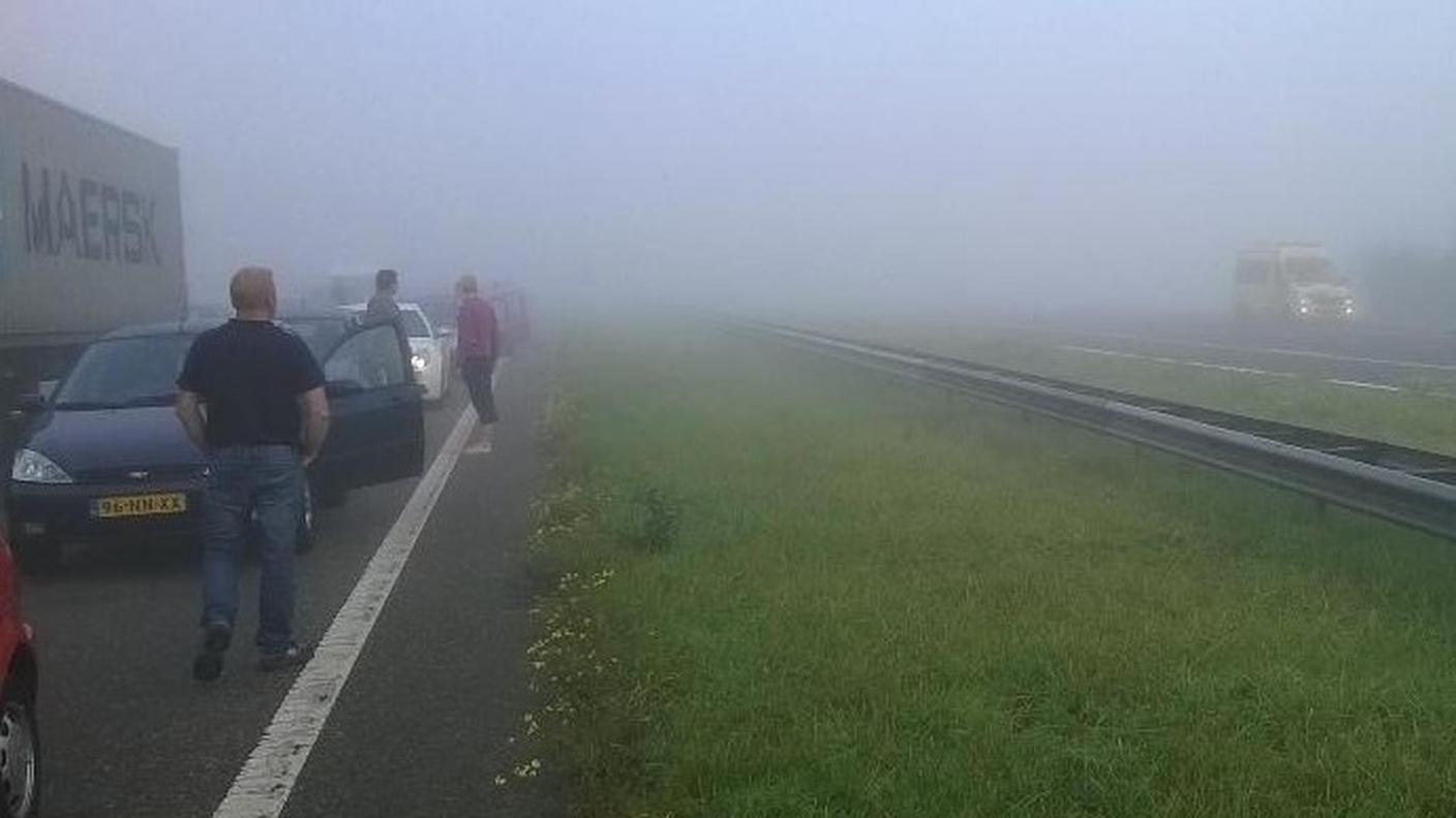 Colpa della nebbia