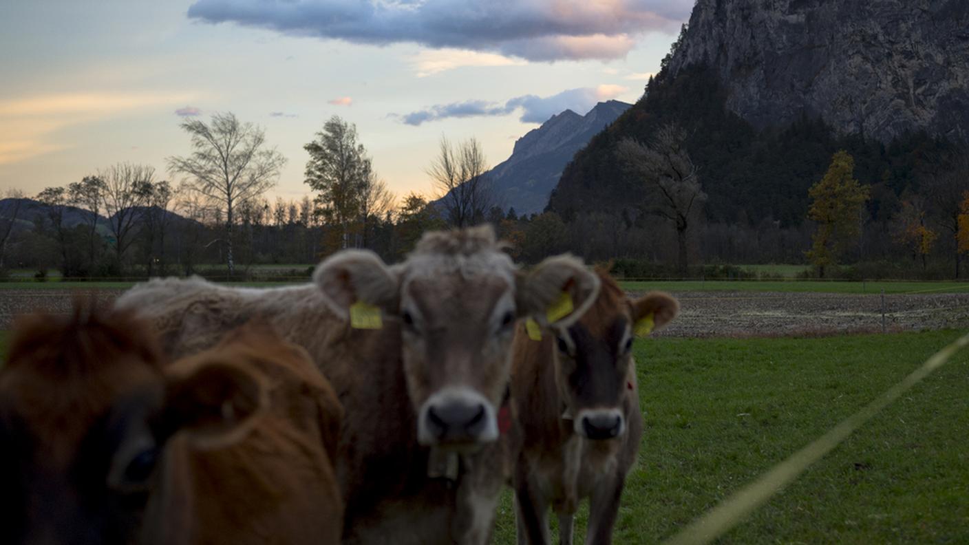 Il bilancio è positivo, sostengono a Berna