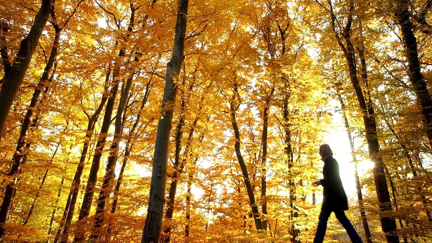 Lo scarto positivo è stato di 2,2 gradi centigradi dalla norma