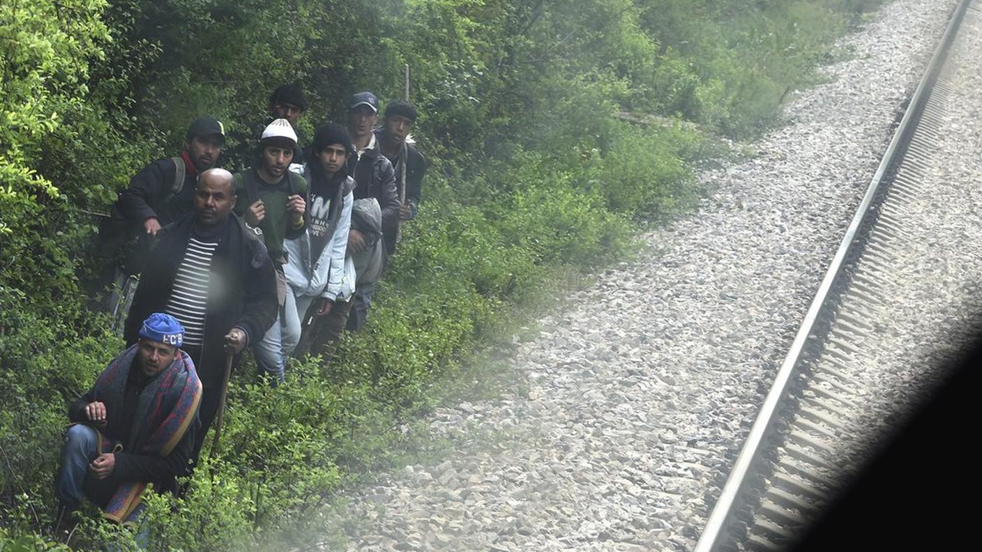 Il fenomeno interessa il Ticino, Bregaglia e Poschiavo