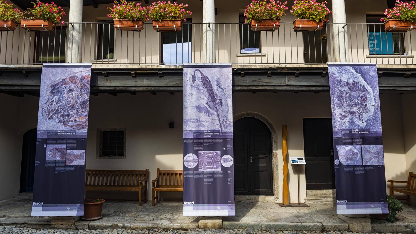 La corte interna del Museo dei fossili del Monte San Giorgio