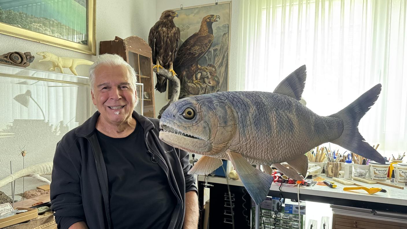 Il paleoartista Beat Scheffold nel suo atelier di Winterthur con uno dei suoi ultimi modelli, un pesce del Triassico destinato al Museo dei fossili del Monte San Giorgio