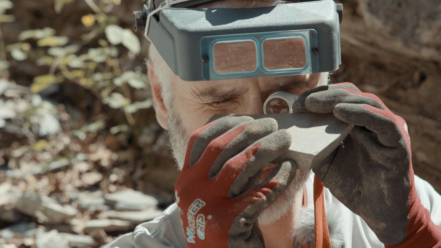 Alla fine è pur sempre il lavoro dei paleontologi che fornisce il materiale necessario per la narrazione di nuove storie 