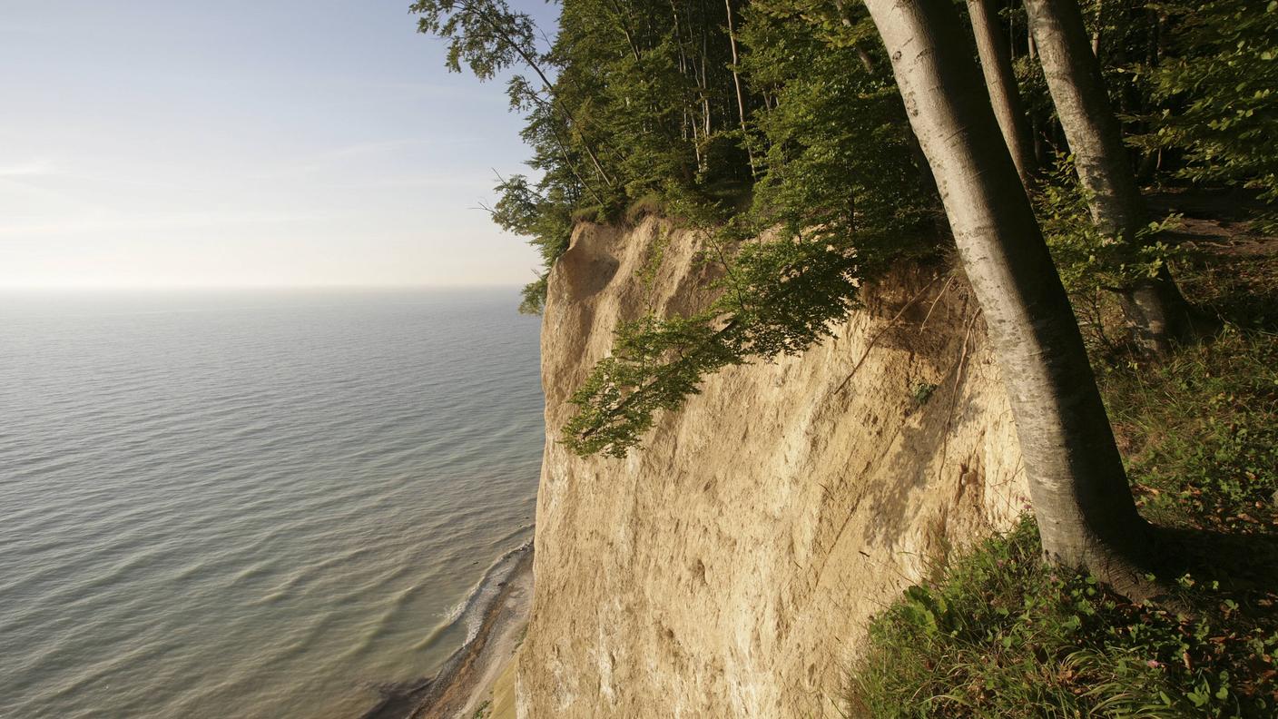 Ai bordi della Foresta di Jasmund (UNESCO), faggi in bilico sul mar Baltico